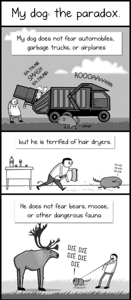 comic-de-perros-My-Dog-The-Paradox