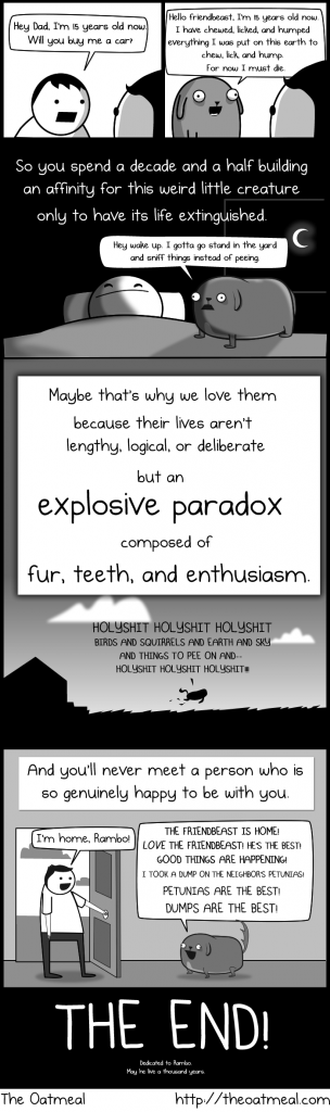 comic-de-perros-My-Dog-The-Paradox