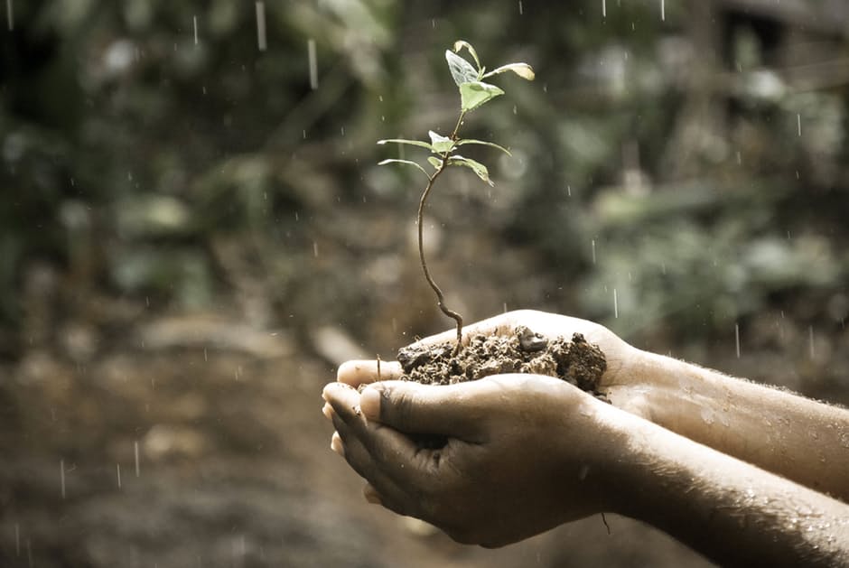 Día de la Tierra: cuidemos el planeta que es nuestro hogar 0