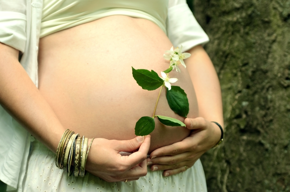 hierbas-que-debes-evitar-en-el-embarazo