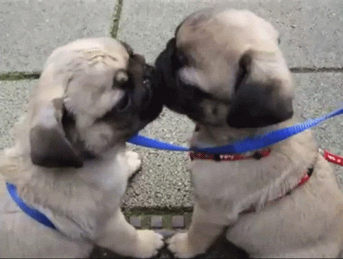 besos-gif