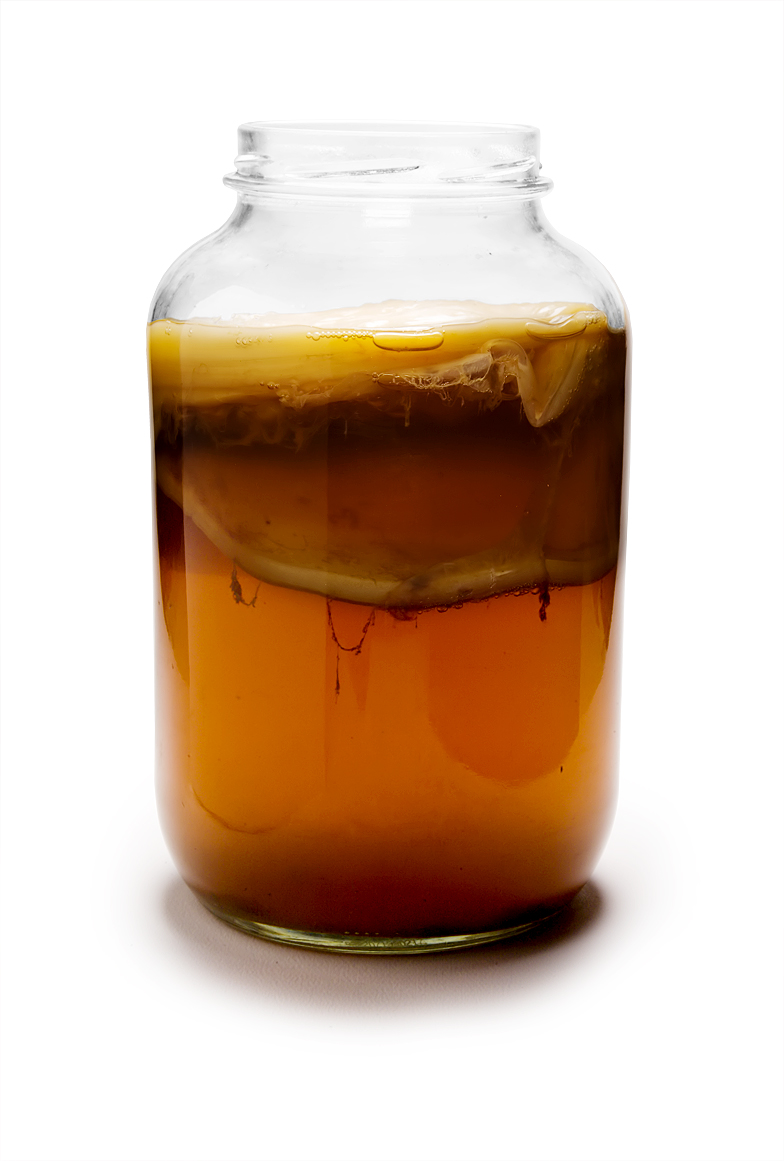 Kombucha_Mature