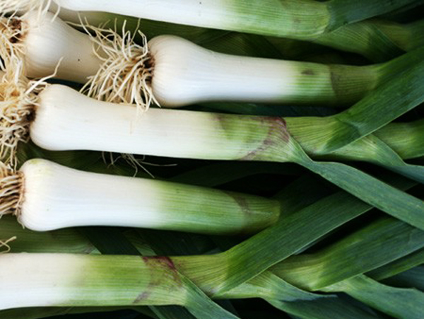 Leeks-1