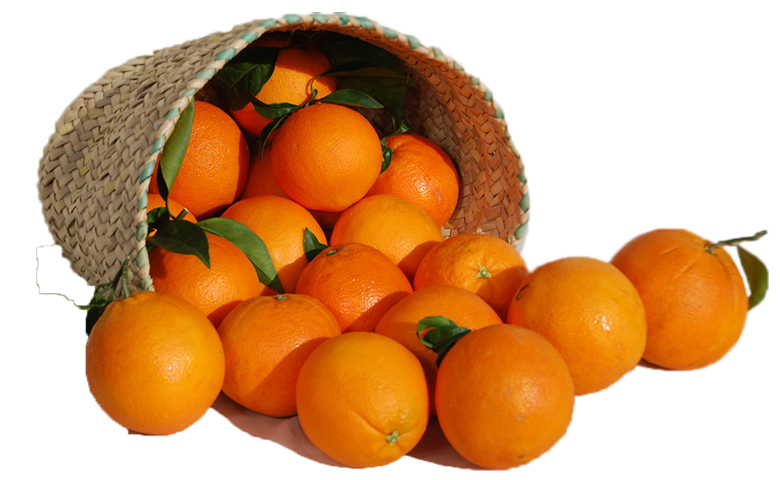 alimento-naranja