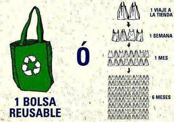 bolsa reusable