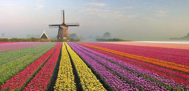 campos-de-tulipanes-holanda_galeria_principal_size2