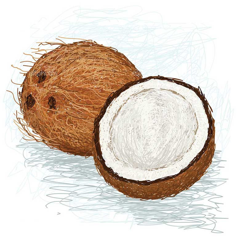 Coconut.