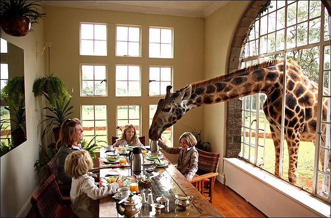 Giraffe-Manor-in-Nairobi-Kenya-1