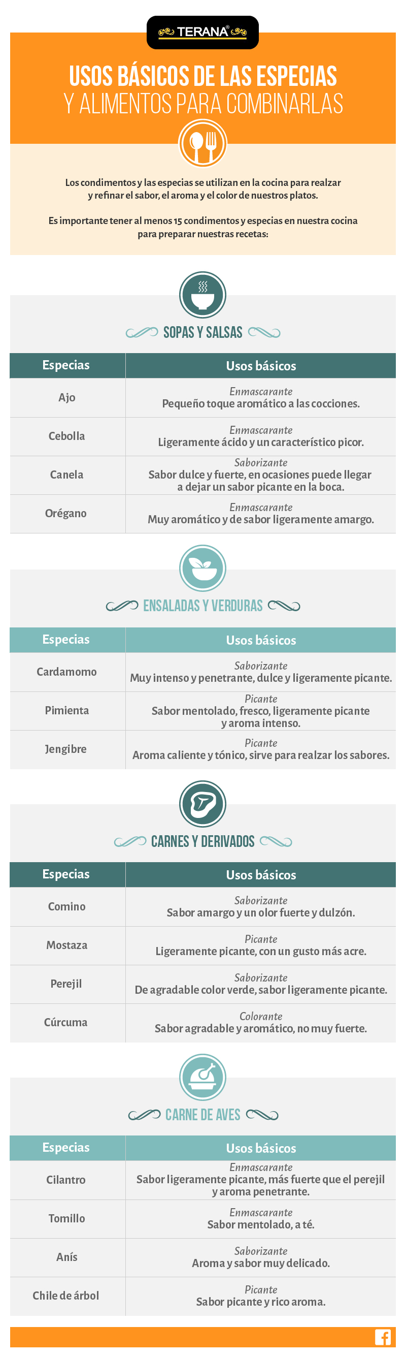 Terana_Infografia_vFinal