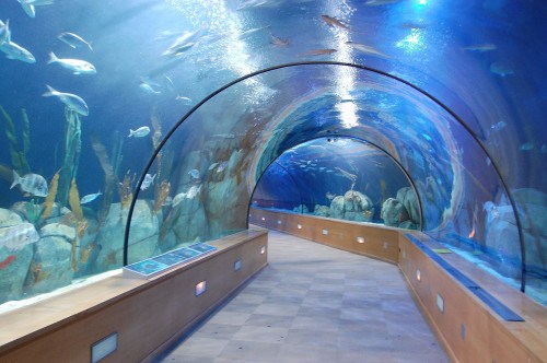 acuario-inbursa