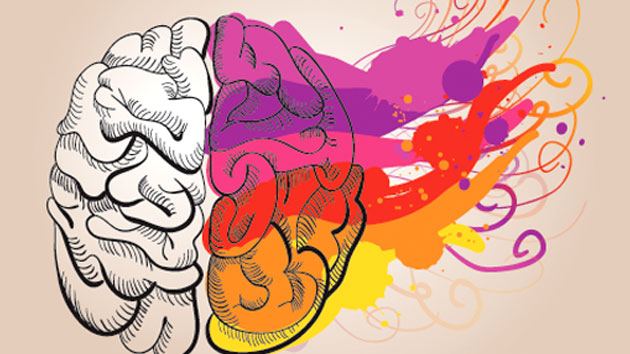art_benefits_the_brain