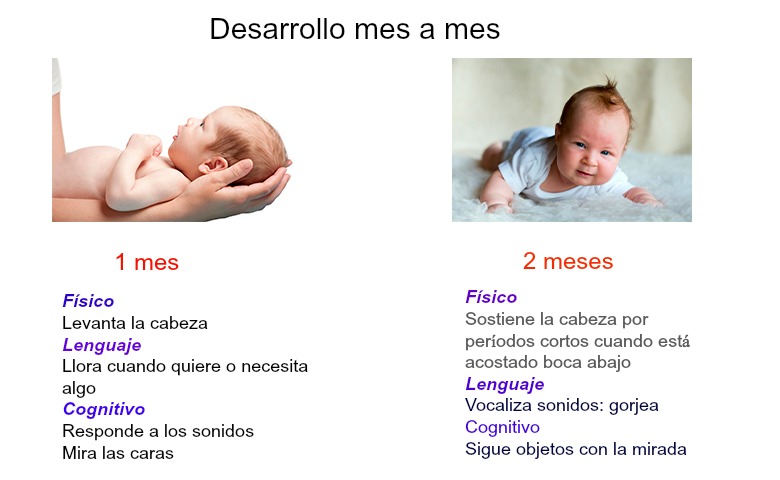 desarrollo-bebe-1a