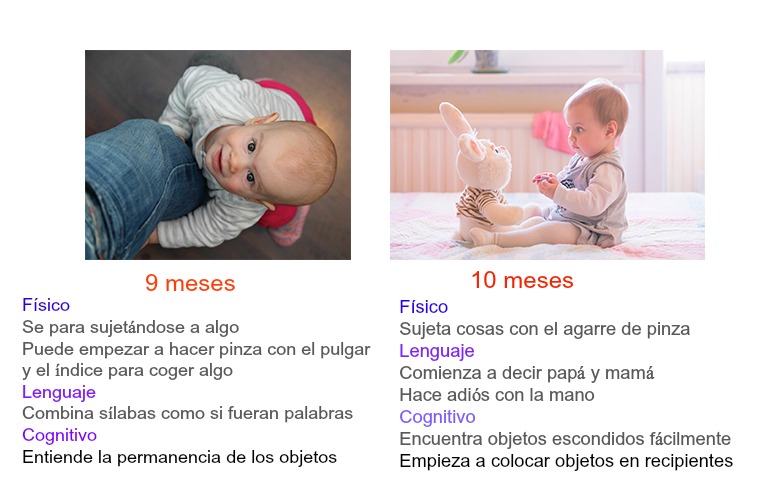 desarrollo-bebe-6a