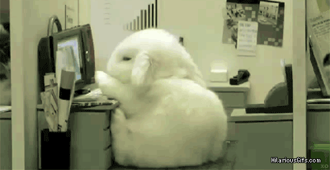 giphy
