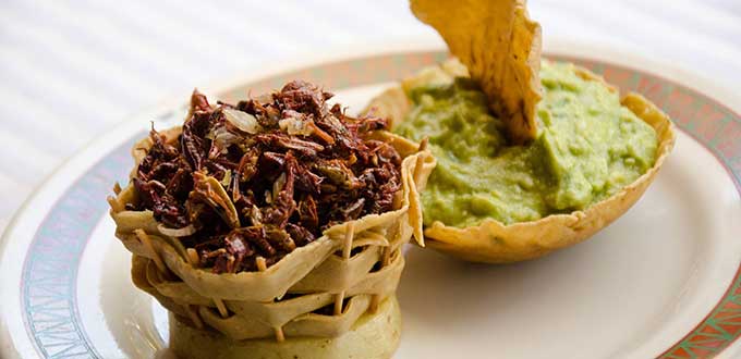 los-chapulines