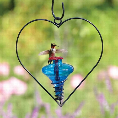 nectar colibri