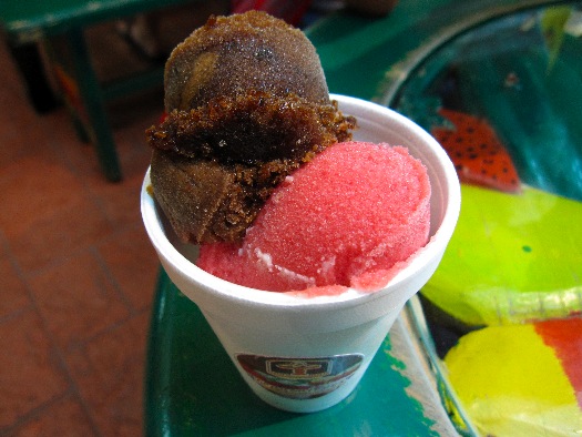 tepoznieves-black-zapote-and-red-plum-snow1