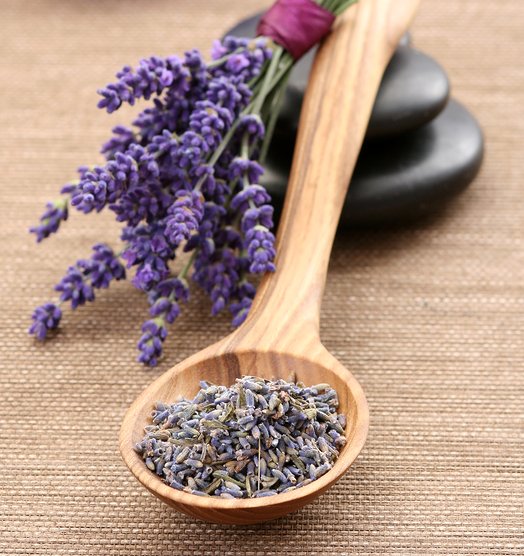 Aromatherapy-Lavender1