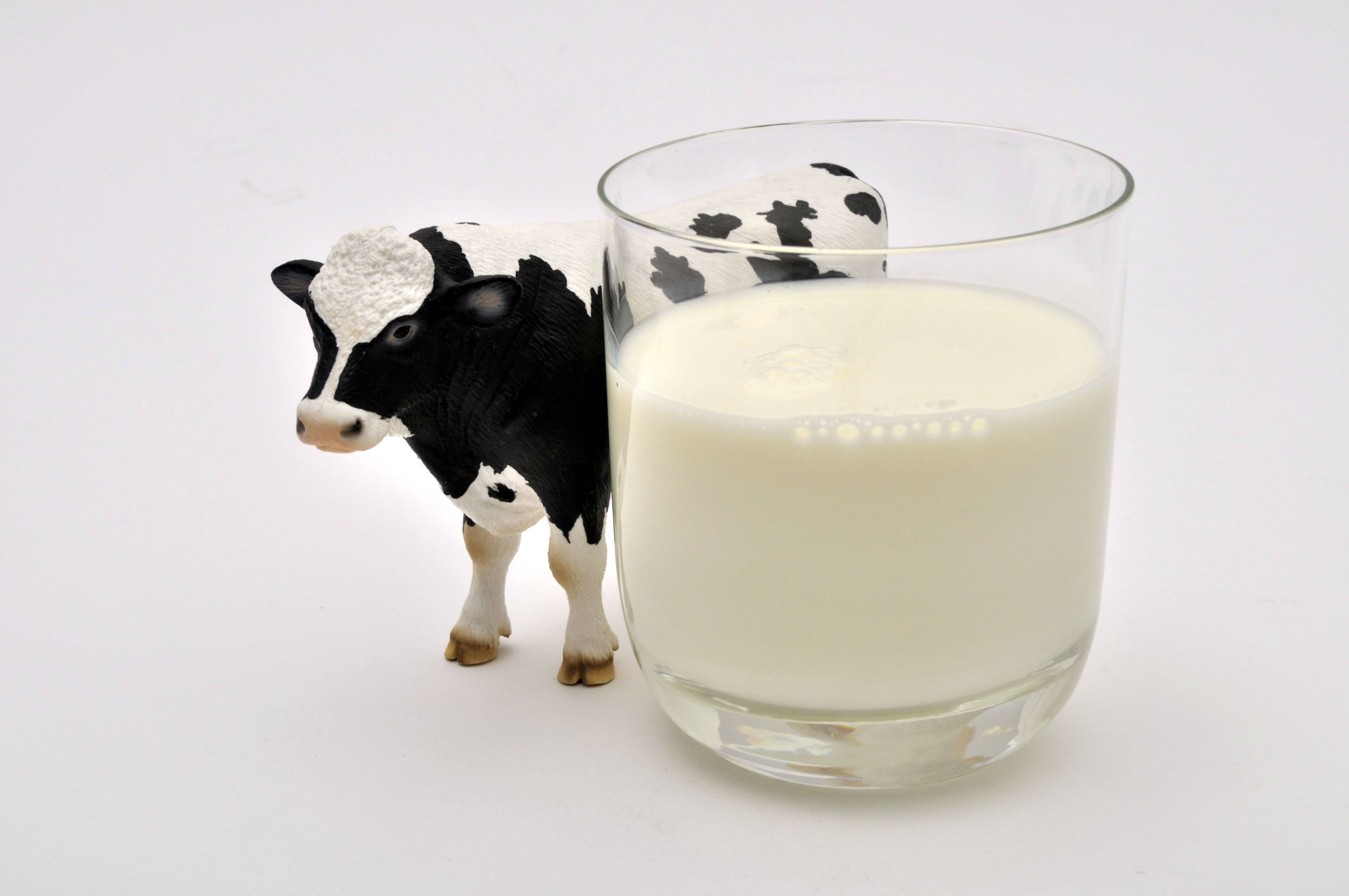 Lait-vache