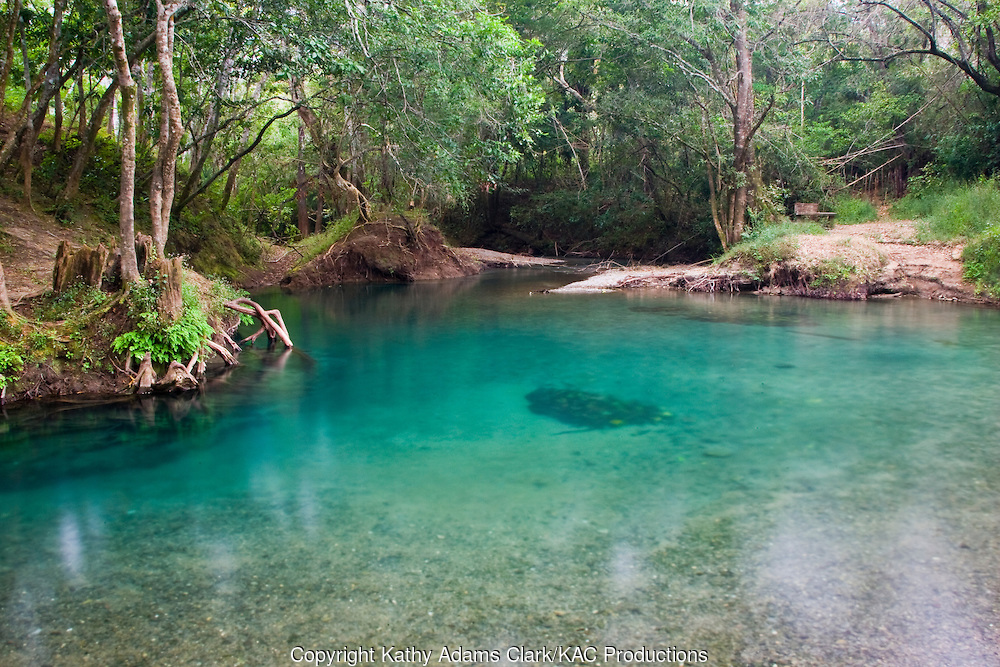 Rio Frio, clear water flowing out of the Guadalupe Mountains, El Cielo, Tamalupis, Mexico. El Cielo Bioesphere Reserve.