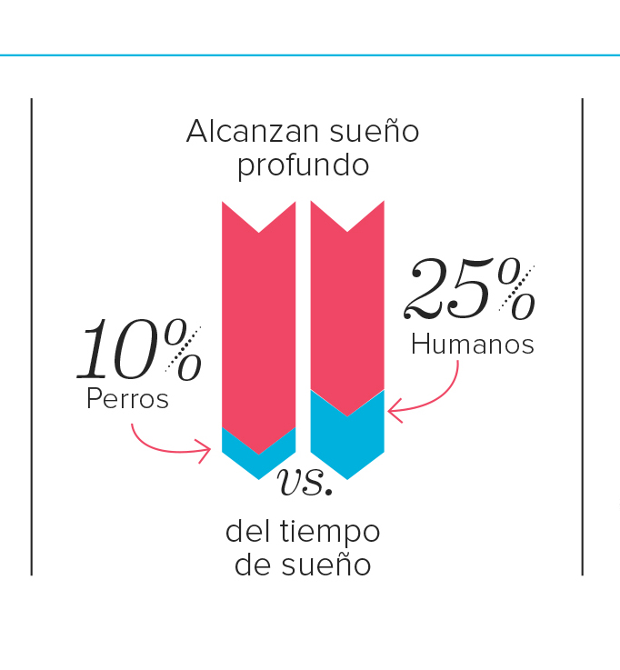 duerma2