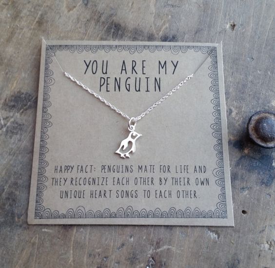 pinguino12