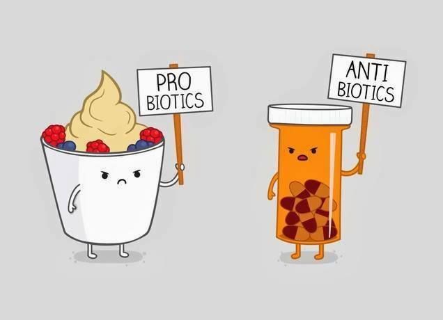 probioticos