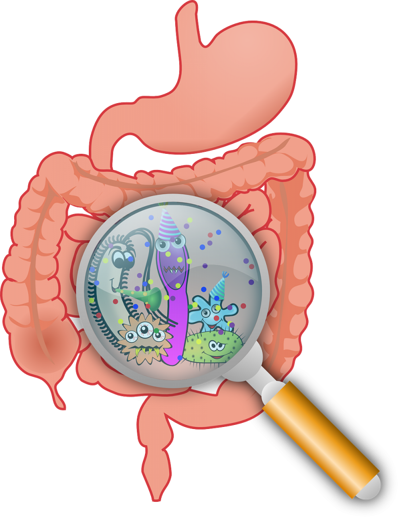 probioticos