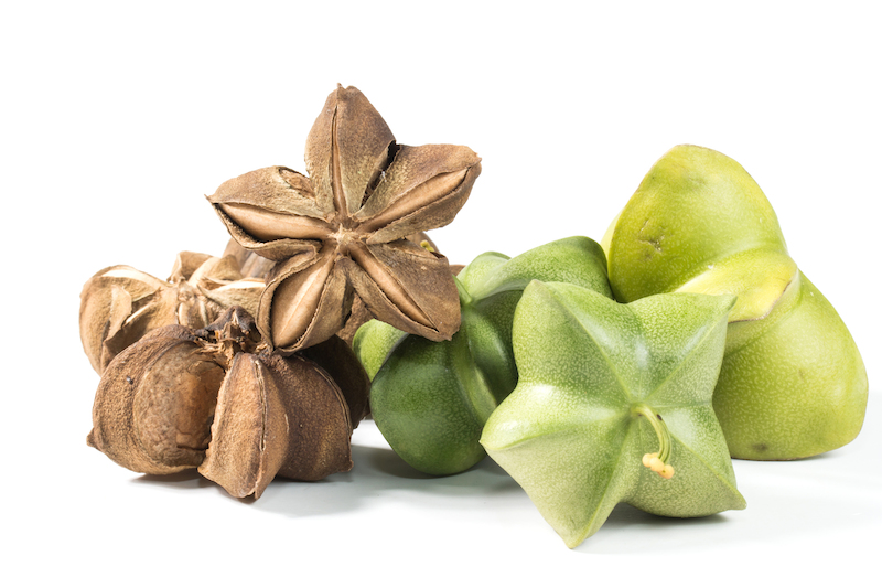superfoods nuevos