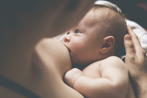 Mandatory Credit: Photo by Caiaimage/REX Shutterstock (4382620a) MODEL RELEASED, Mother holding and breast-feeding little baby VARIOUS