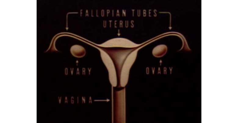 vagina-TheStoryOfMenstruation_Disney2