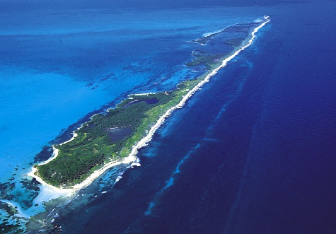 arrecife maya