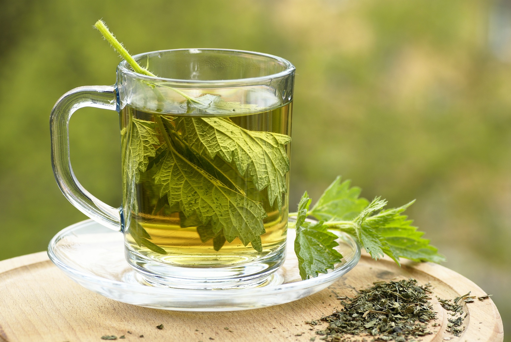 Nettle tea in glass, fresh and dry nettle.