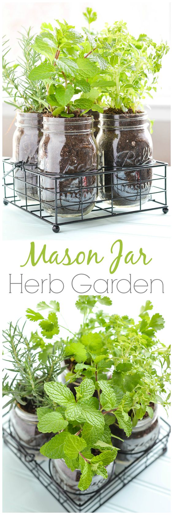 mason-jar