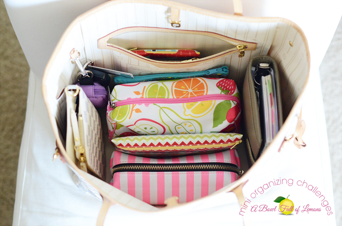 Purse-Organization-ABFOL-2