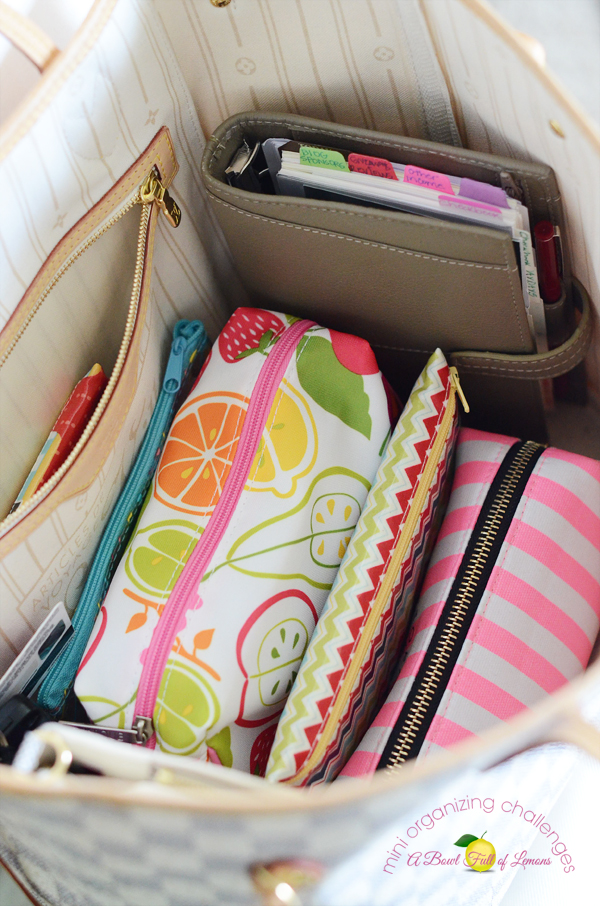 Purse-Organization-ABFOL-3