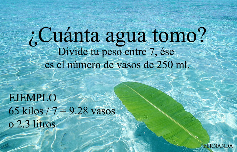 agua-debes-tomar