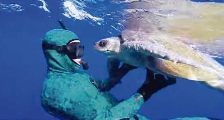 Islas-Galápagos:-El-paraíso-del-que-muchos-hablan-pero-pocos-conocen