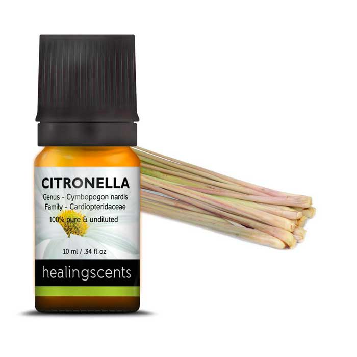 citronela