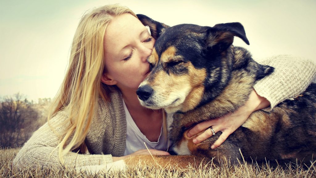 fotos de animales siendo realmente felices