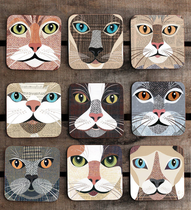 gato8