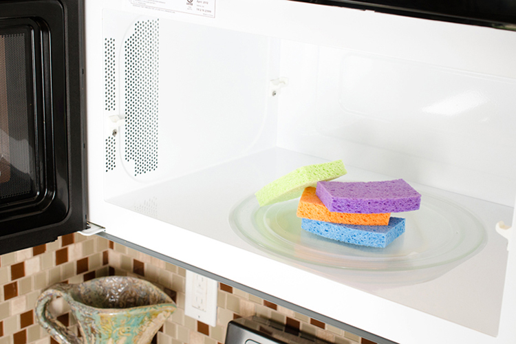 microwave-sponge