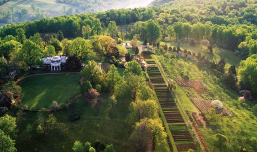 monticello