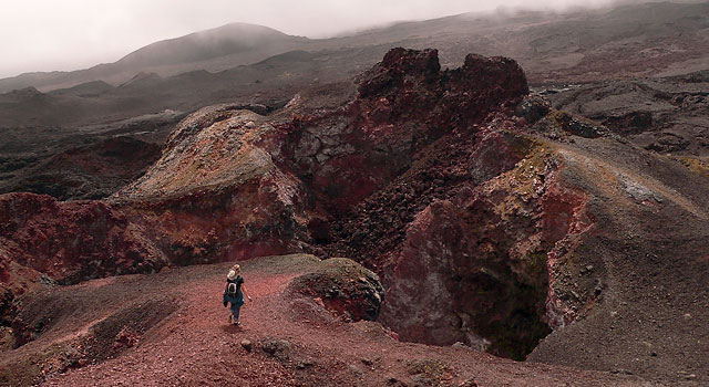 Islas-Galápagos:-El-paraíso-del-que-muchos-hablan-pero-pocos-conocen