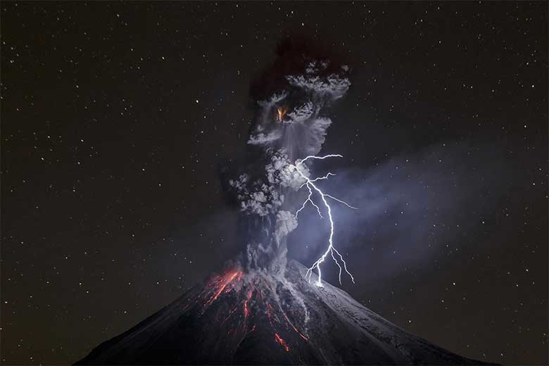 Sergio Tapiro, The Power of Nature. Cortesía del museo