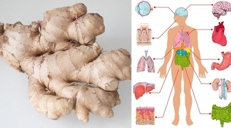 http://tumundodesalud.com/