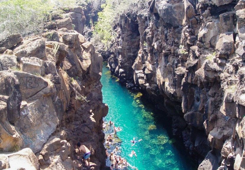 galapagos
