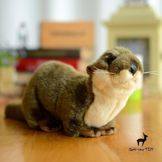 nutria14