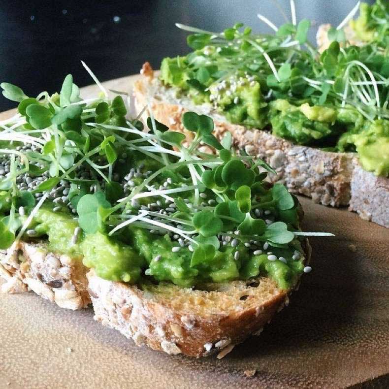 recetas-con-chía-fáciles-de-preparar