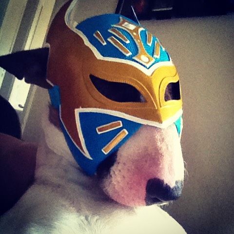 luchador